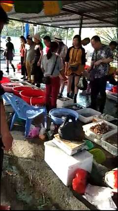 南澫码头附近摊位出租